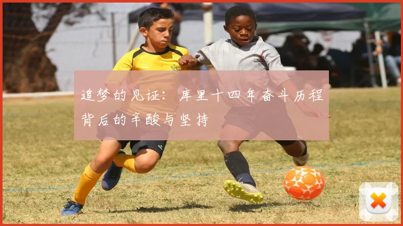 追梦的见证：库里十四年奋斗历程背后的辛酸与坚持